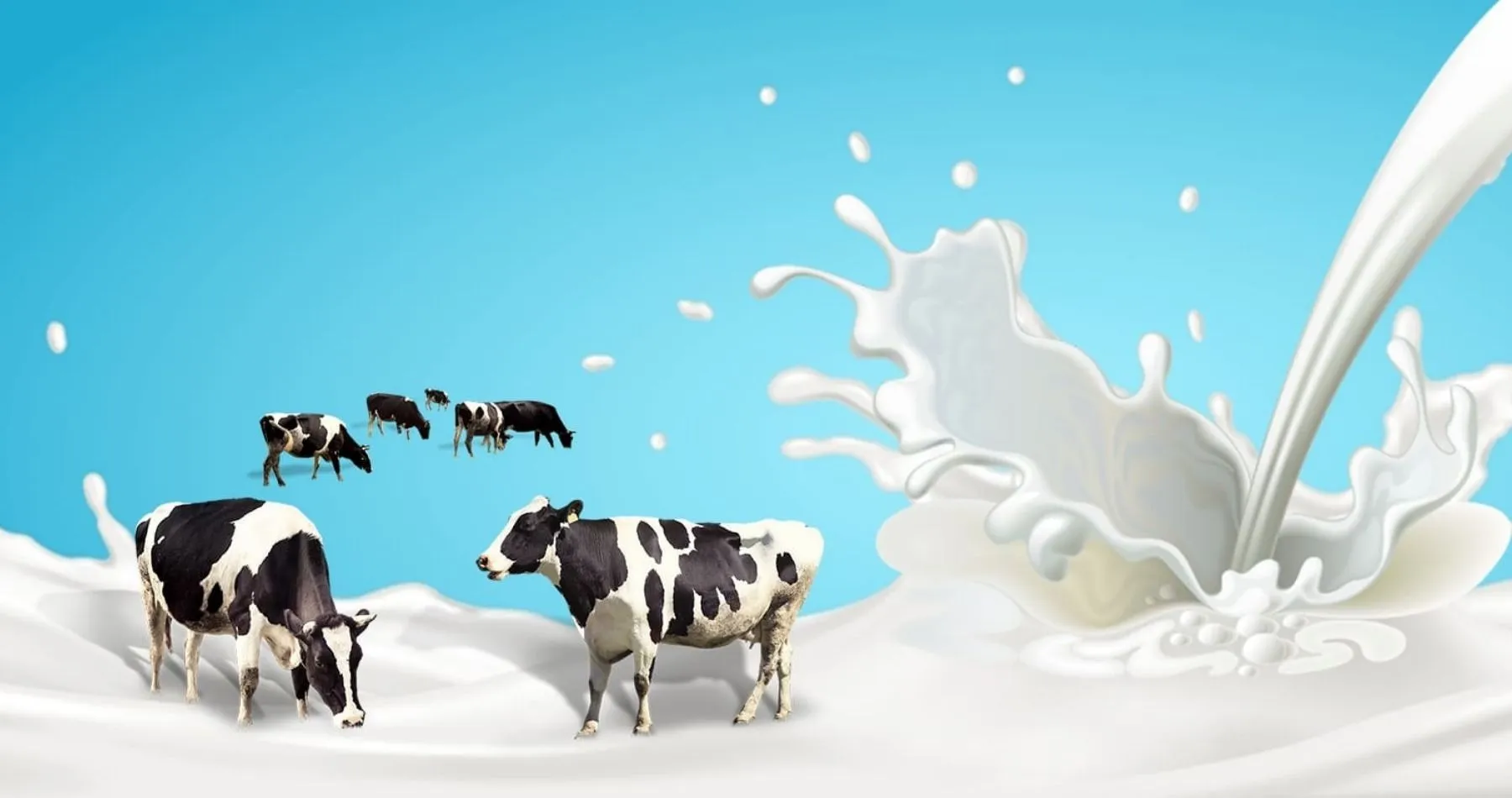 Stainless Steel Milk Can Manufacturers